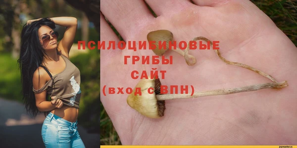 мяу мяу мука Абдулино