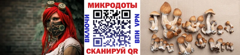 купить закладку  Владимир  Псилоцибиновые грибы MAGIC MUSHROOMS 