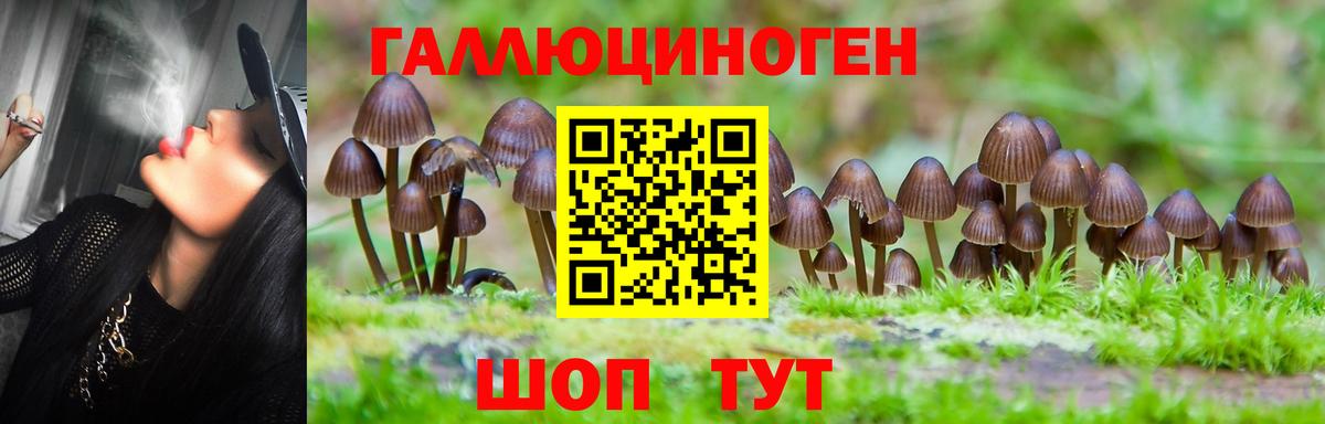 Владимир  Псилоцибиновые грибы GOLDEN TEACHER  Вход с VPN 